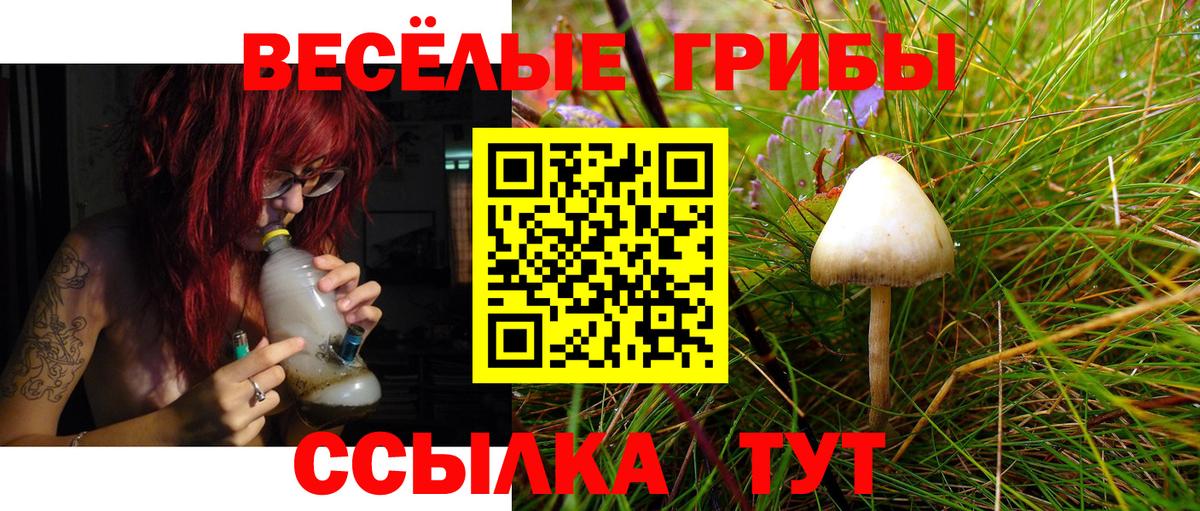 Трёхгорный  Псилоцибиновые грибы мухоморы  Вход с VPN  продажа наркотиков  Галлюциногенные грибы Psilocybe 